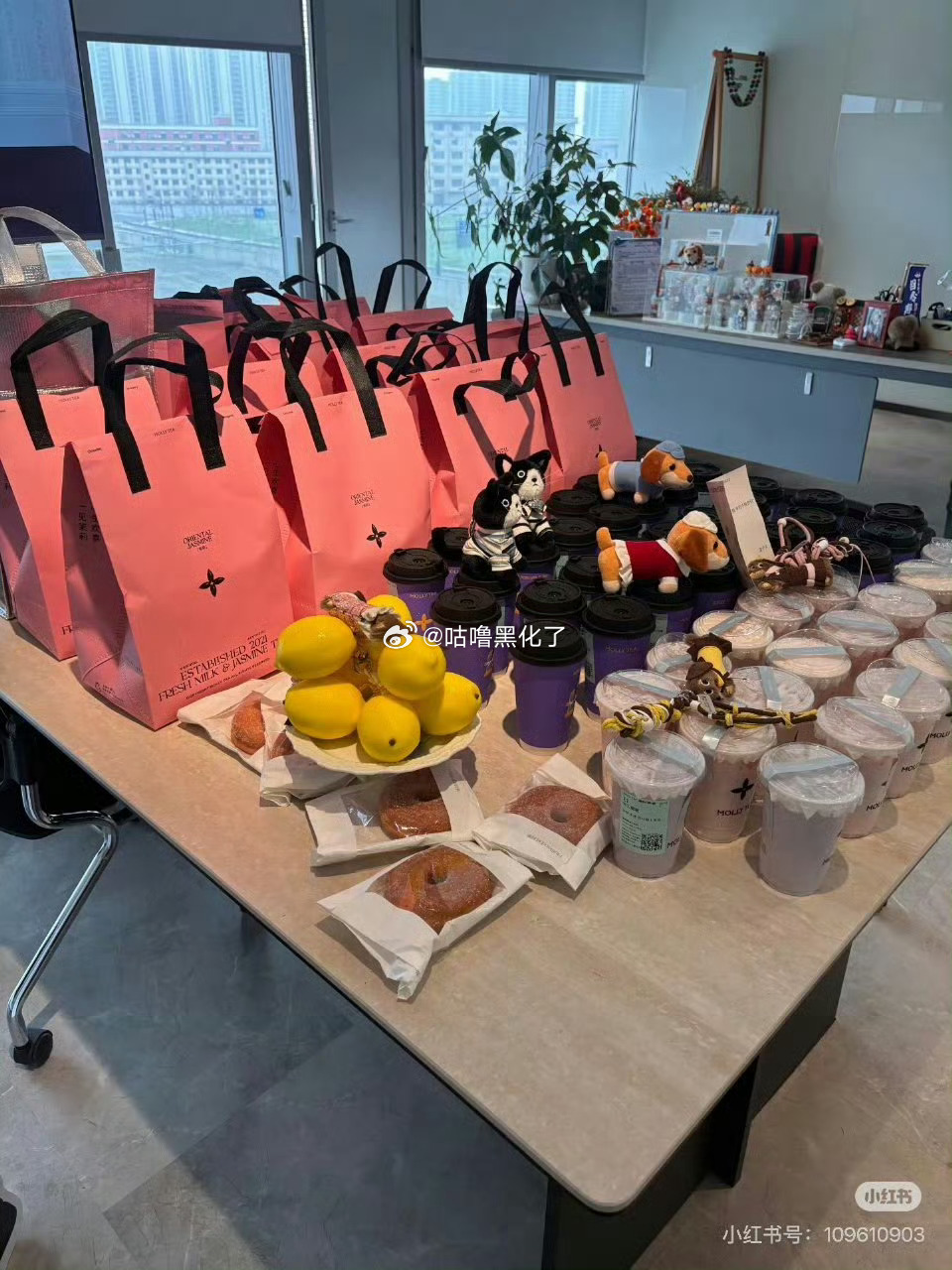 孟子义给诗凡黎工作人员逆应援了诶，真好啊！ 