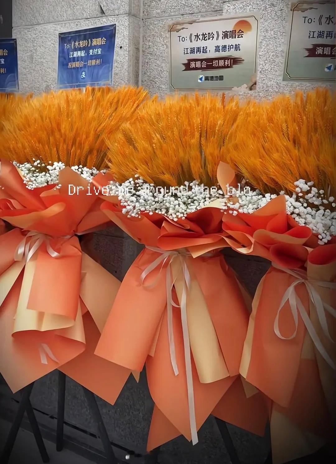 罗云熙水龙吟上海演唱会zfb 高德地图 puco 藤萍 严艺丹送了祝福花篮 