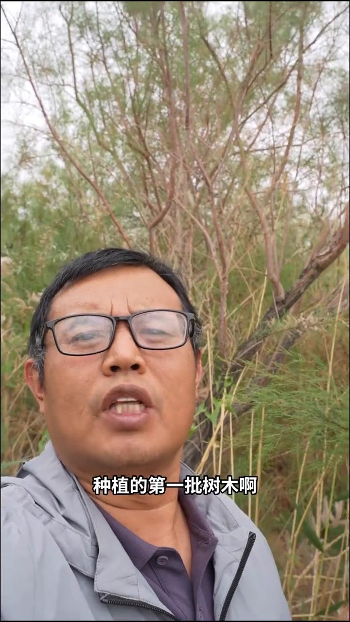 惊奇：沙漠公路首批树木已达碗口粗。
你敢相信吗？经过20多年的绿化，在塔里木沙漠