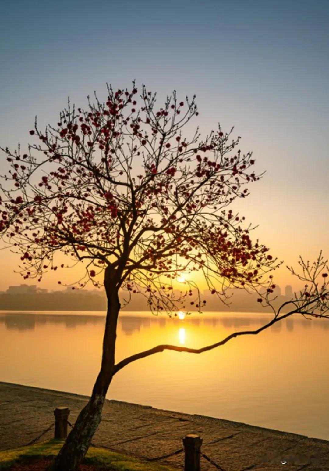 很认同的一段话: “一定要懂得自愈，因为好起来的从来不是生活，而是你自己，不在烂