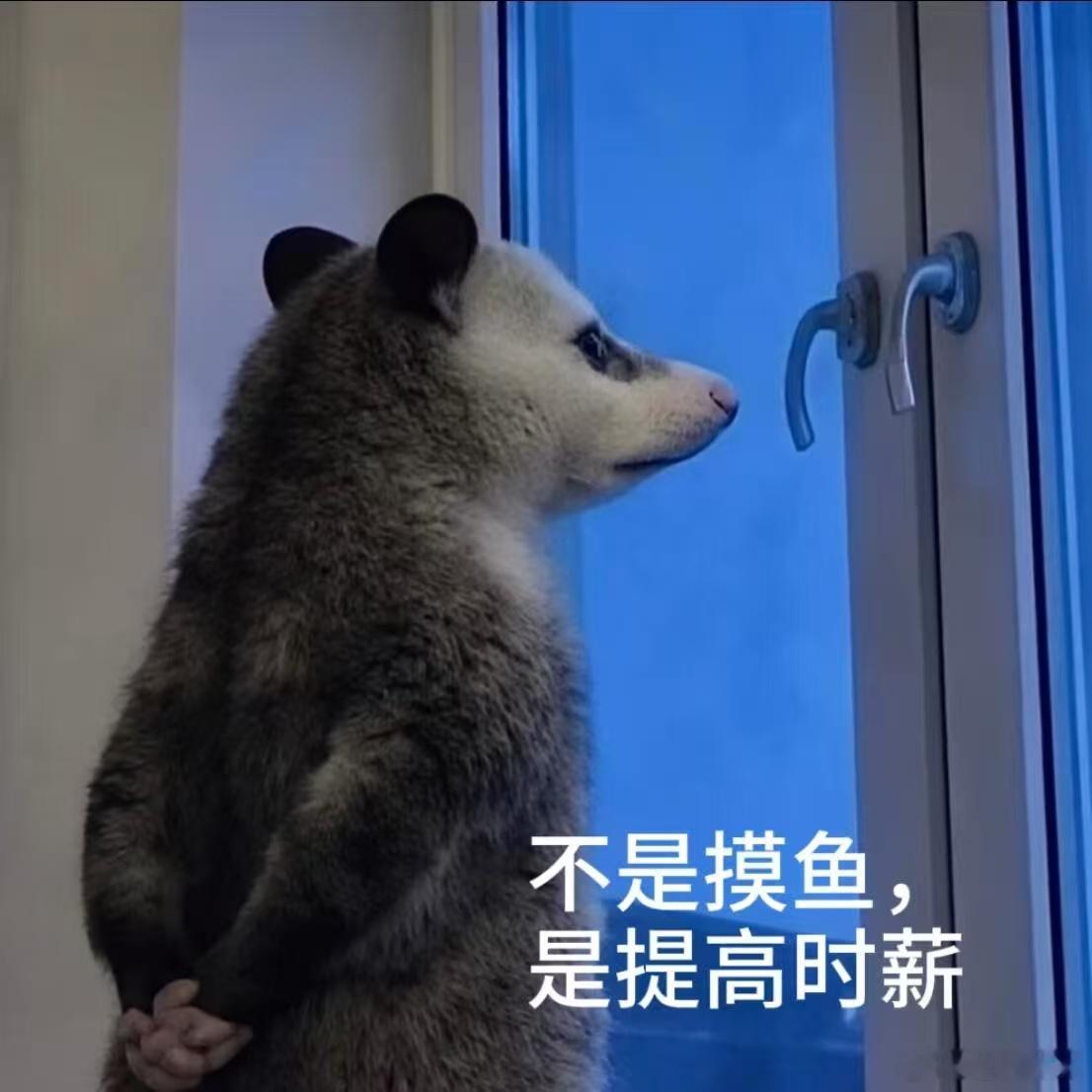 张若昀在片场被猴儿瞪了张若昀对手戏演员是真猴儿就笑了小猴拍戏失误一下，直接被记仇