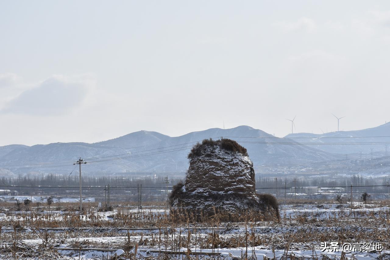 如何看待日本民众呼吁向中国道歉日本国经历过战争的残忍性，也遭受过美国原子弹的轰炸