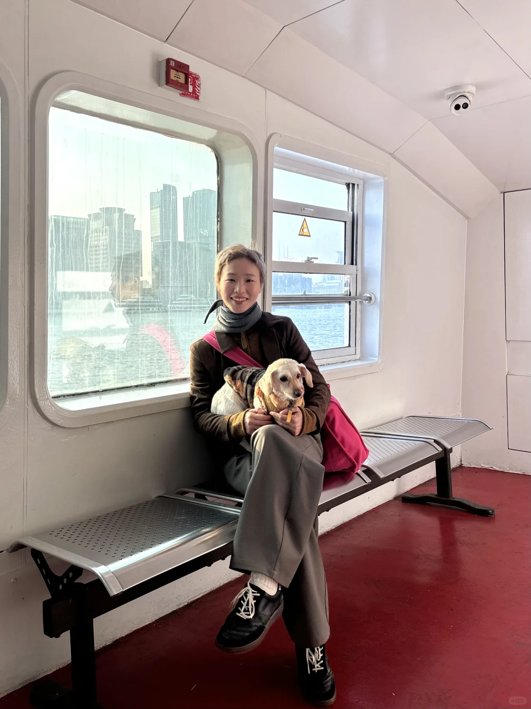 带小狗乘黄浦江轮渡啦🚢
