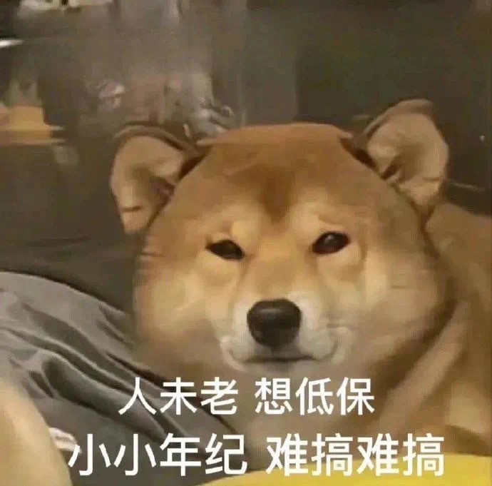 Share  表情包  确定不更新一下吗 ​​​