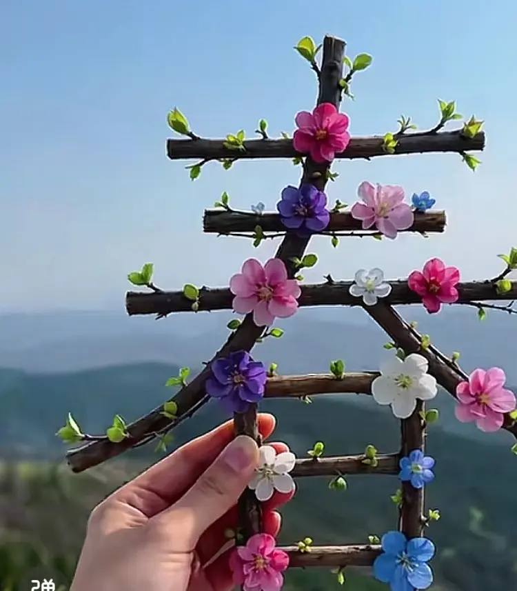 春暖花开奔你而来 鸟语花香人间仙境 热门