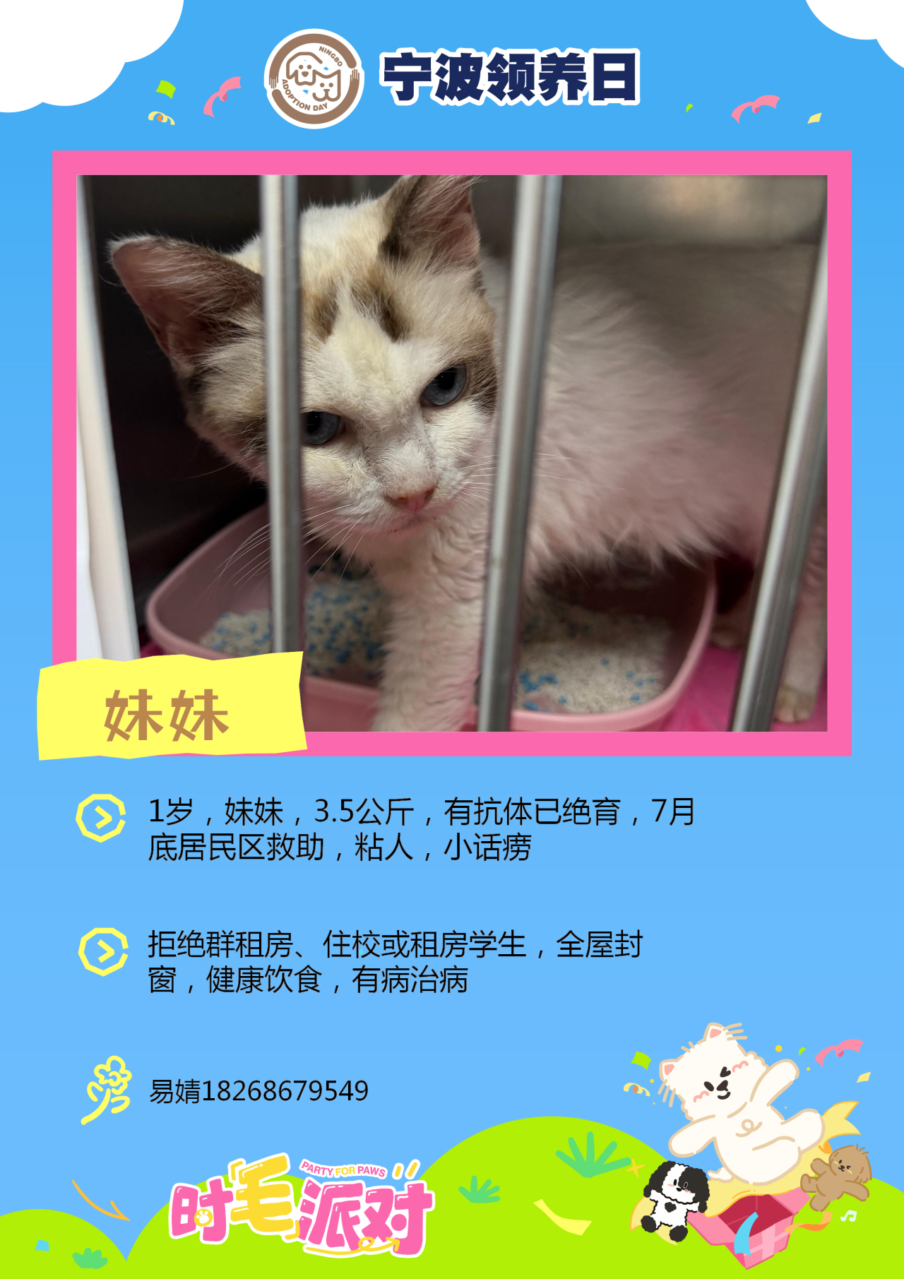 时毛派对宁波领养日纳凉领养夜 就在宁波文化广场🐱🐶9月4-6日18:30-2