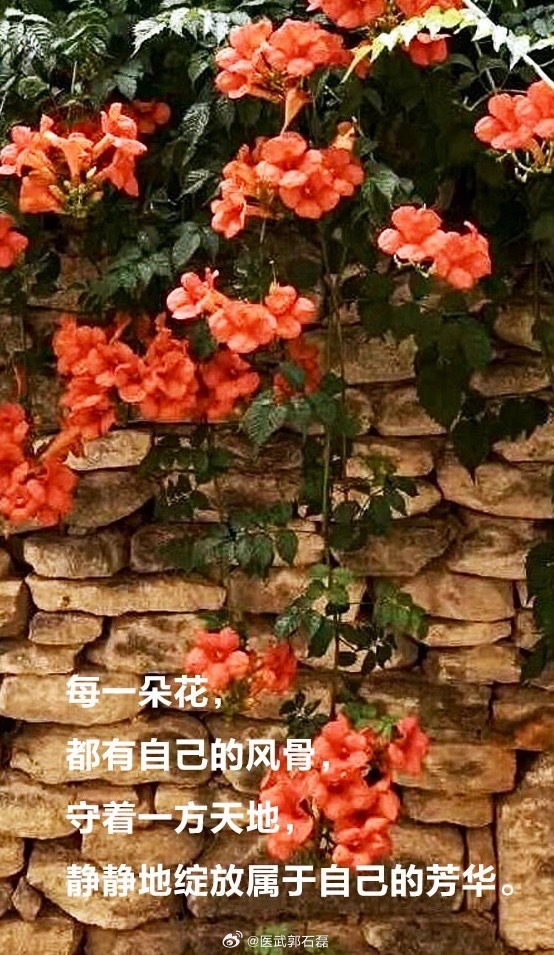 早