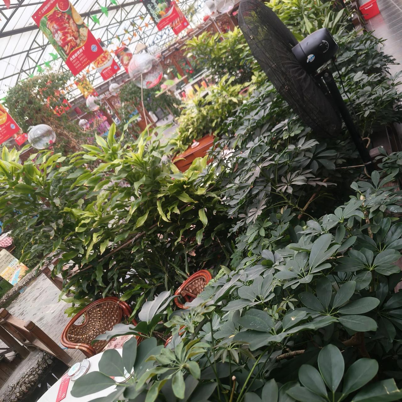 冬日生活打卡季