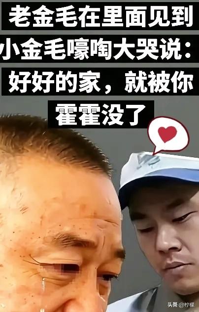 老金毛在里面见到小金毛嚎啕大哭说：“好好的一个家，就被你这样霍霍没了！”老金毛这
