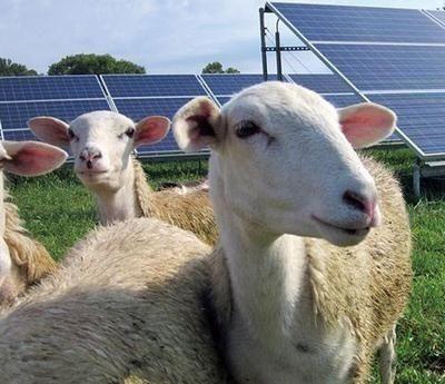 万万没想到，中国基建闹了个大“乌龙”，本打算耗资3亿在荒漠建个发电厂。没想到10