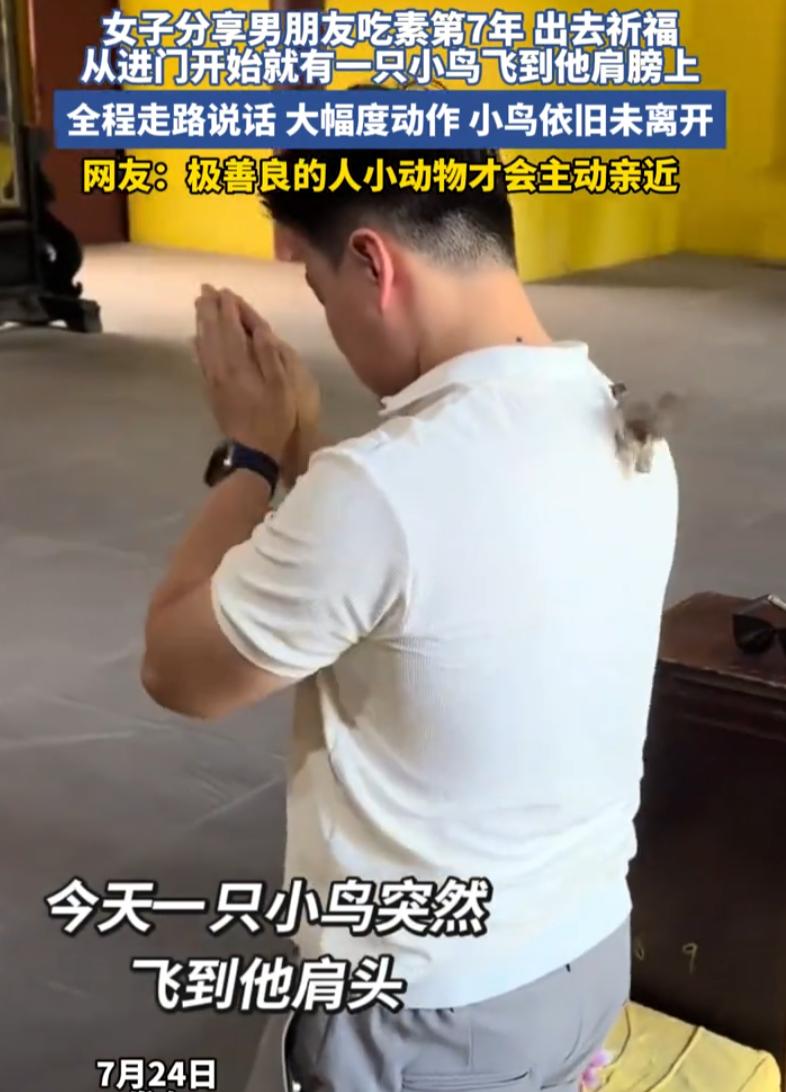 四川成都一对情侣前往寺庙还愿，坚持吃素七年的男子，在还愿过程中突然被一只小鸟主动