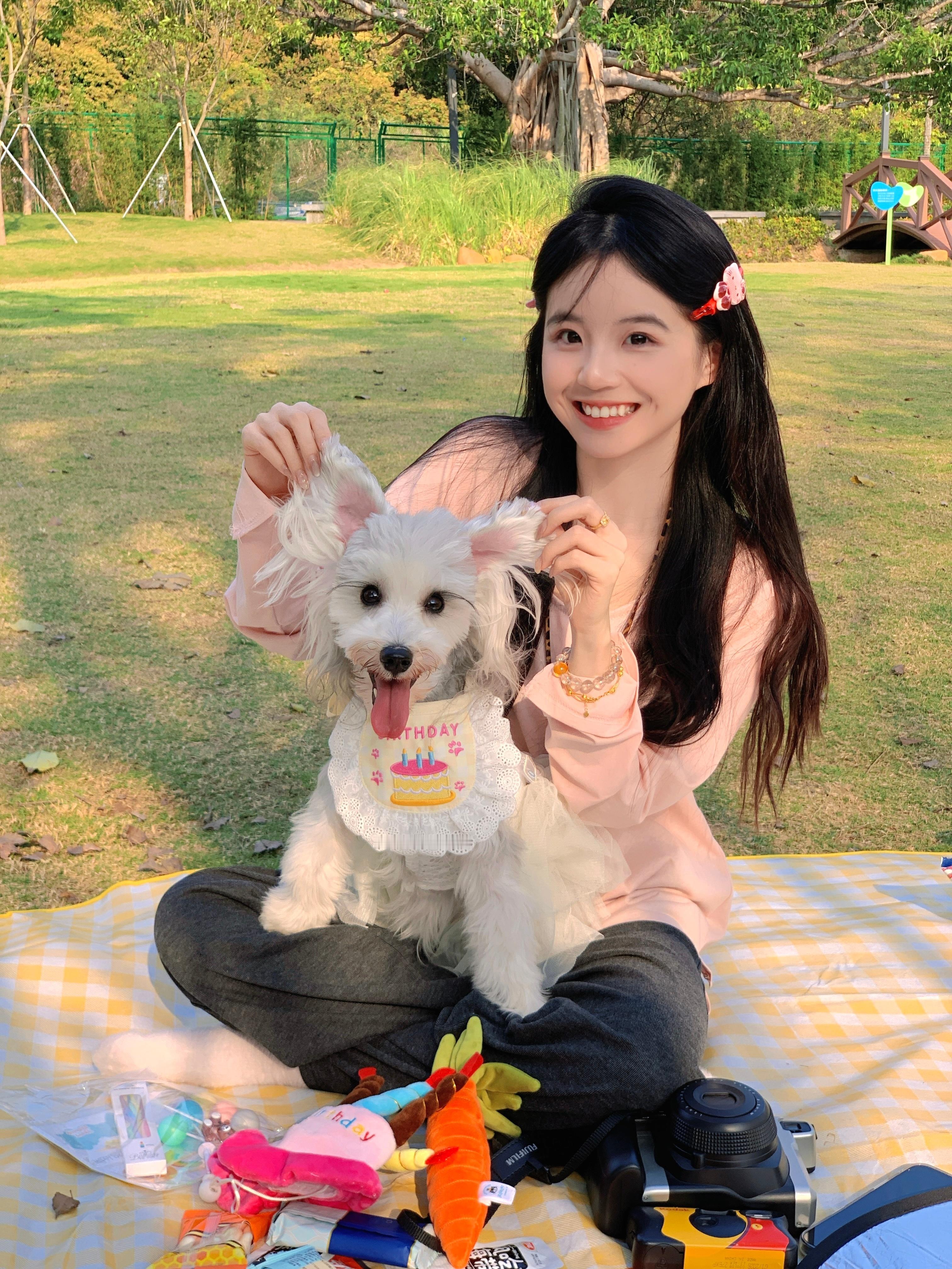 ˗ˋˏ🎂ˎˊ -ᰔᩚ 奥利奥两岁啦🧺昨天带奥利奥去野餐过生日 开心到满地打滚