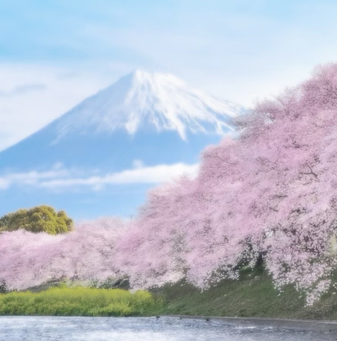 蓝粉色｜WeChat背景图 ｜低饱和 