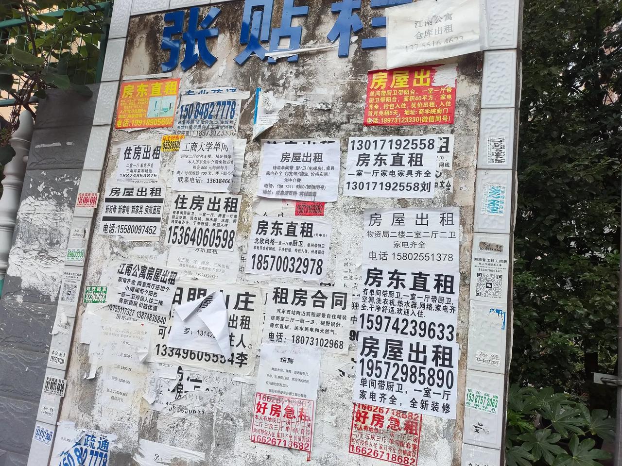 #照片是我今天的日记#