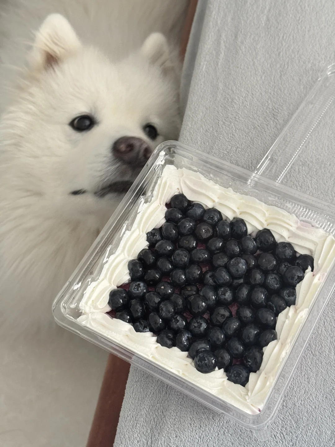 当我吃蓝莓蛋糕