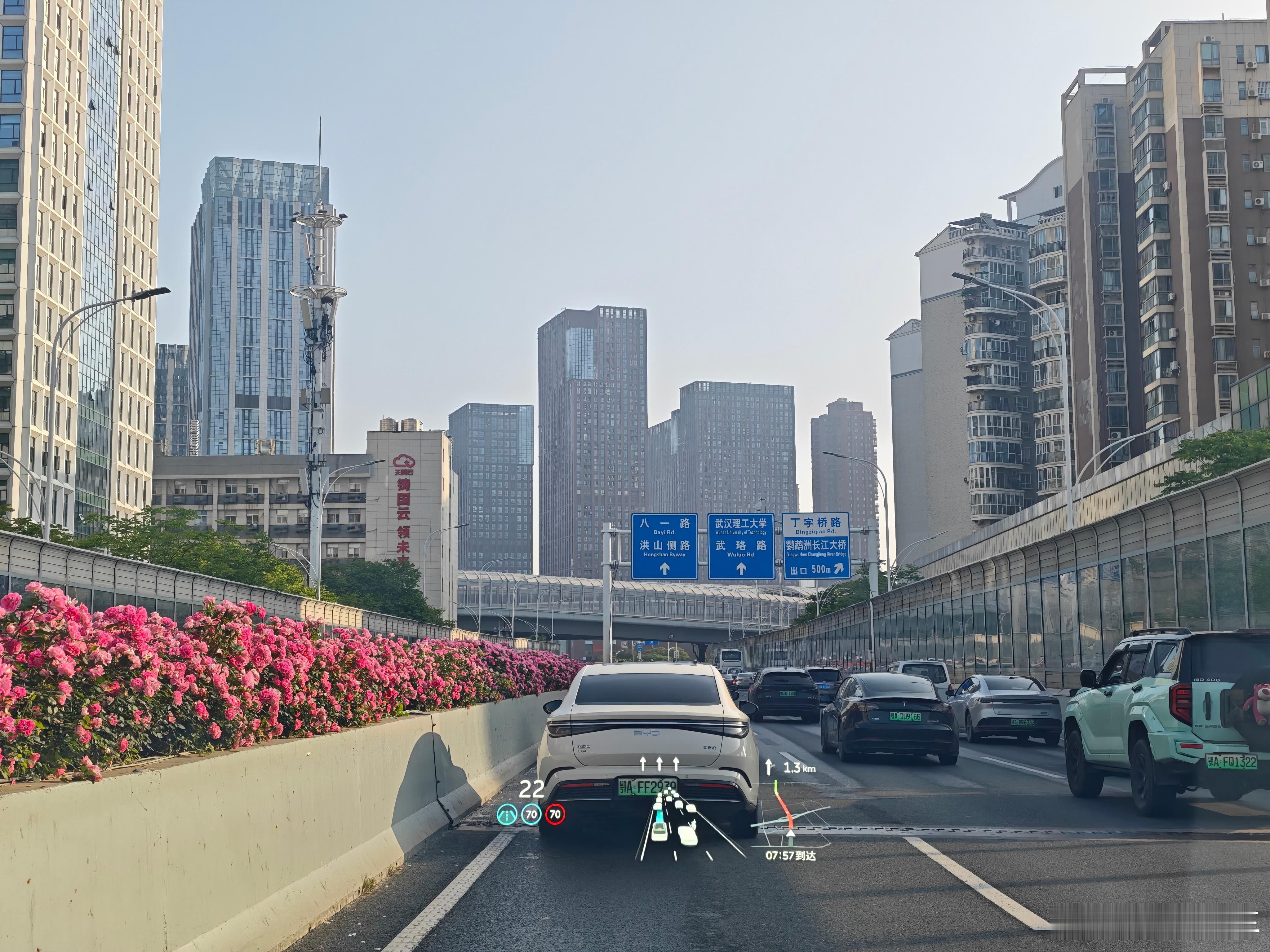不知不觉 这个月都快结束了 真快啊 武汉
