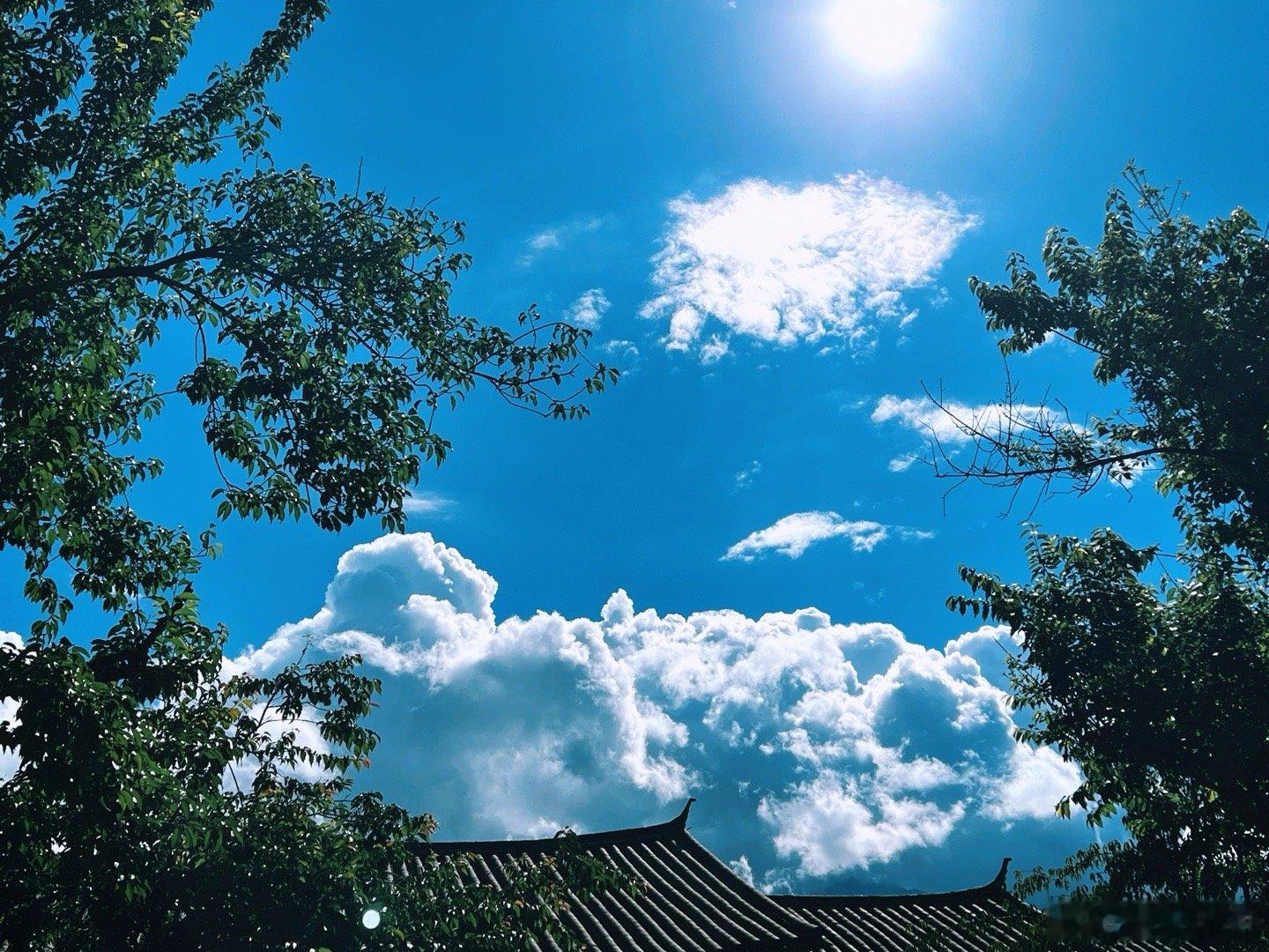 久雨见晴后最忧的就是热浪来袭果然热此时此刻 20260705。周日。五月廿一。冒