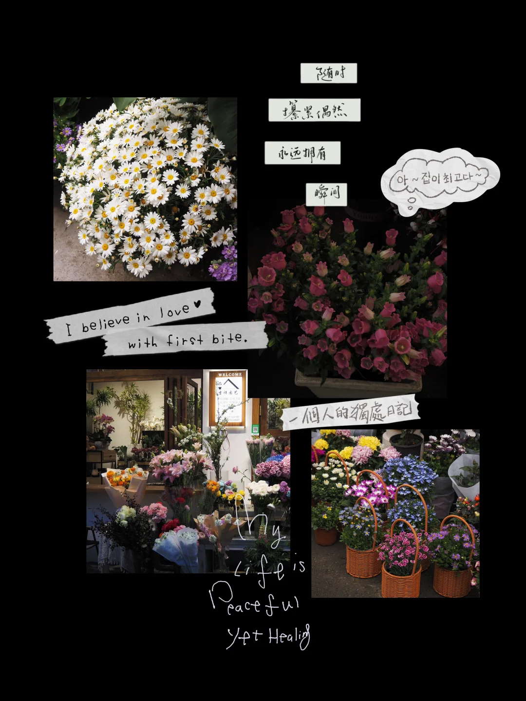 重庆人有自己的斗南花市