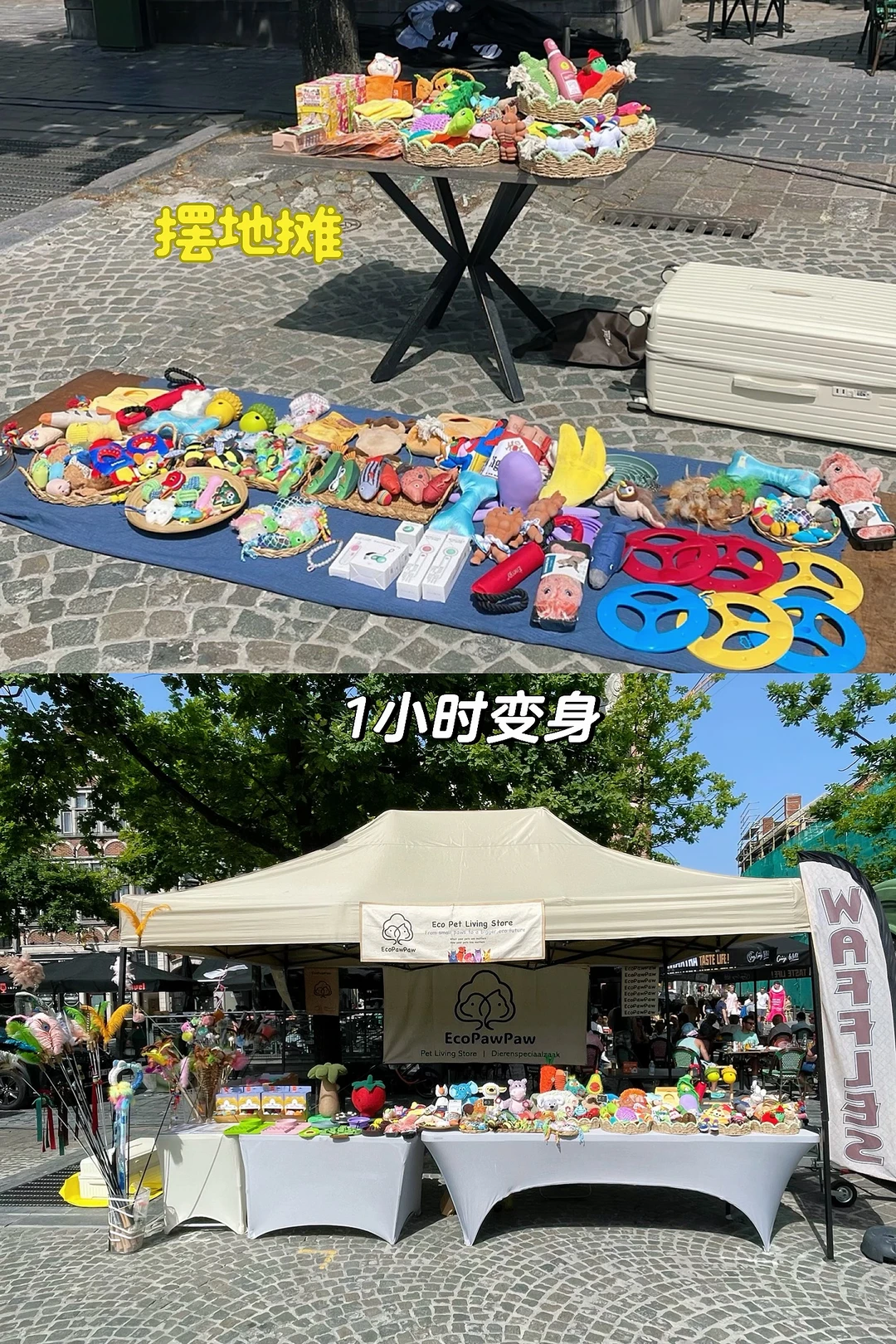 EcoPawPaw宠物赛道创业｜今天摆地摊了