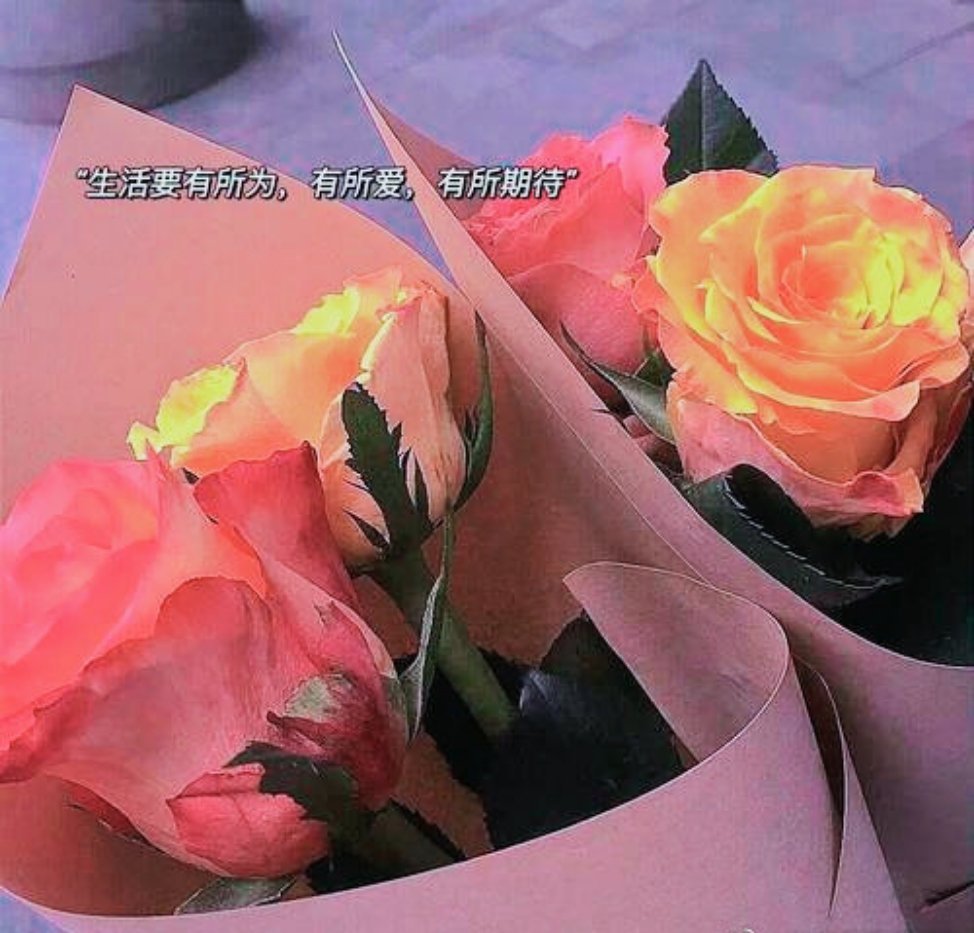 给女人个忠告，跟男人关系再好，也不要全信，新鲜感一过你什么也不是，不管之前他对你