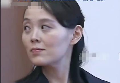 金与正突然发表谈话剑指日本，将根据其动态制定军事选项！

根据朝中社2026年8