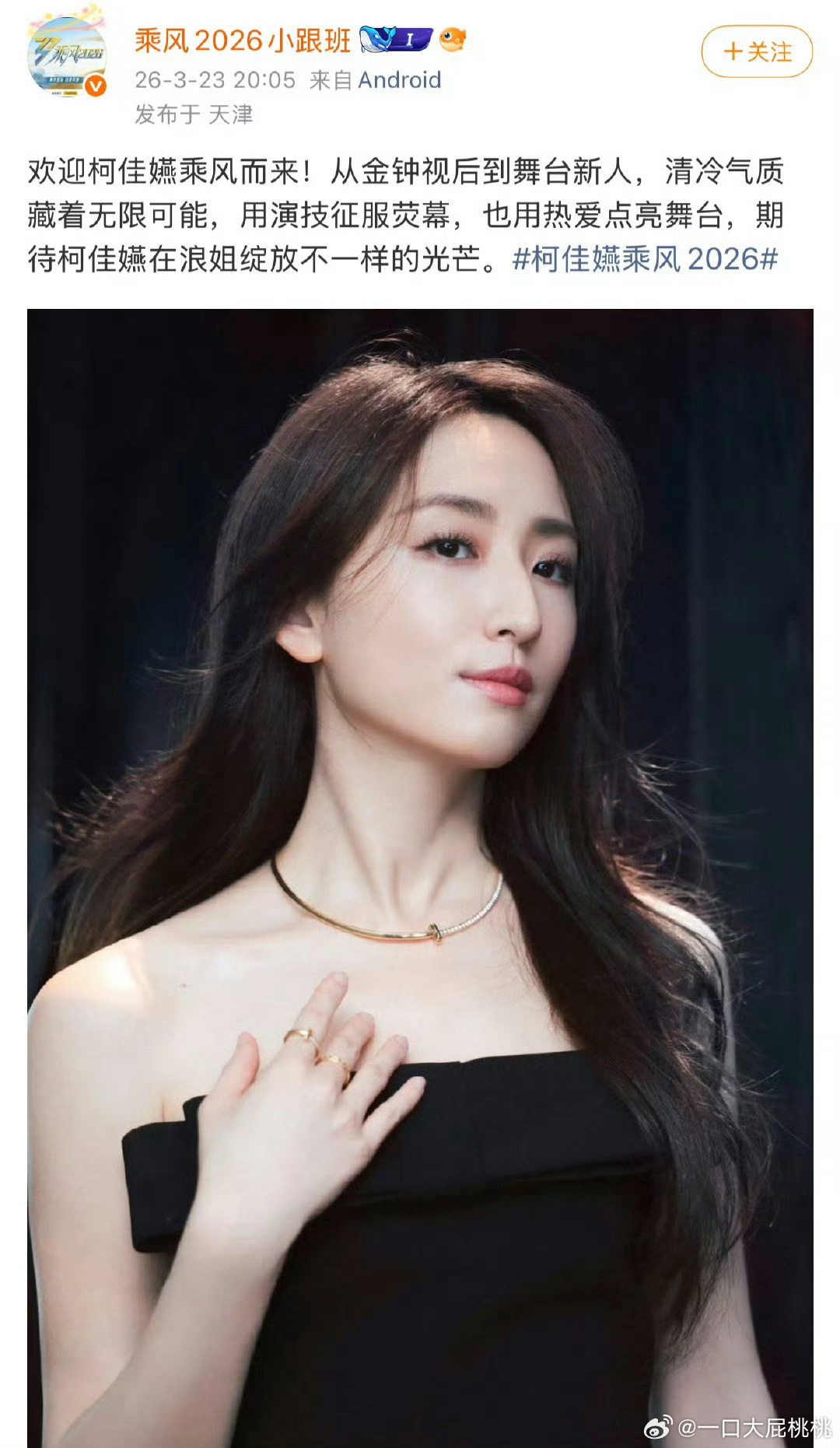 浪姐这季请了柯佳嬿 