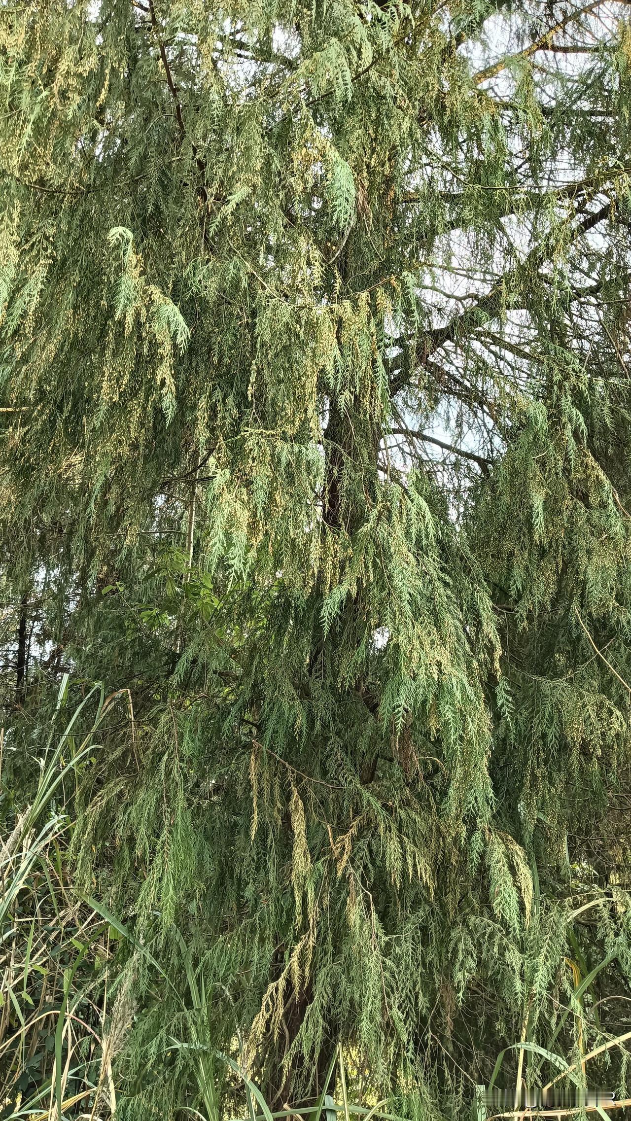 1. 成功并非偶然，而是付出的必然回报！坚持信念，不懈努力，成就非凡人生！

2