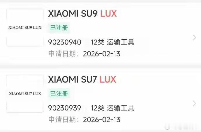 又逮到小米新车了。伪装都遮不住那张脸，一看就是小米，但侧面露馅了——后门明显拉长