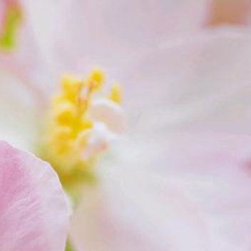 正能量人生最大的内耗，就是把时间花在后悔走错路上，而不是寻找新路线上。既然错过了