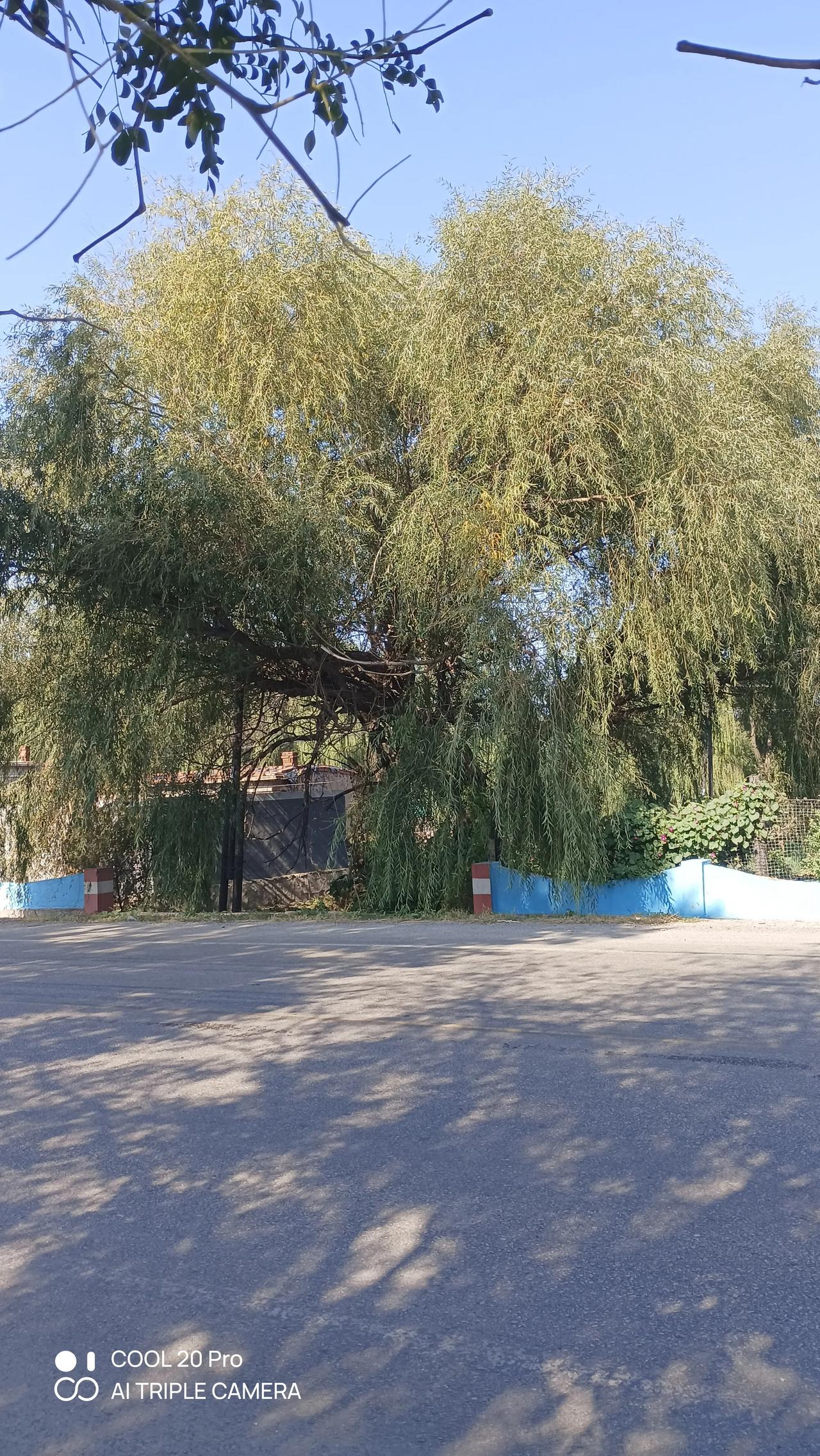 城里终究是有钱人的天下，没钱人大多也就只能维持个温饱水平，生活不易啊。