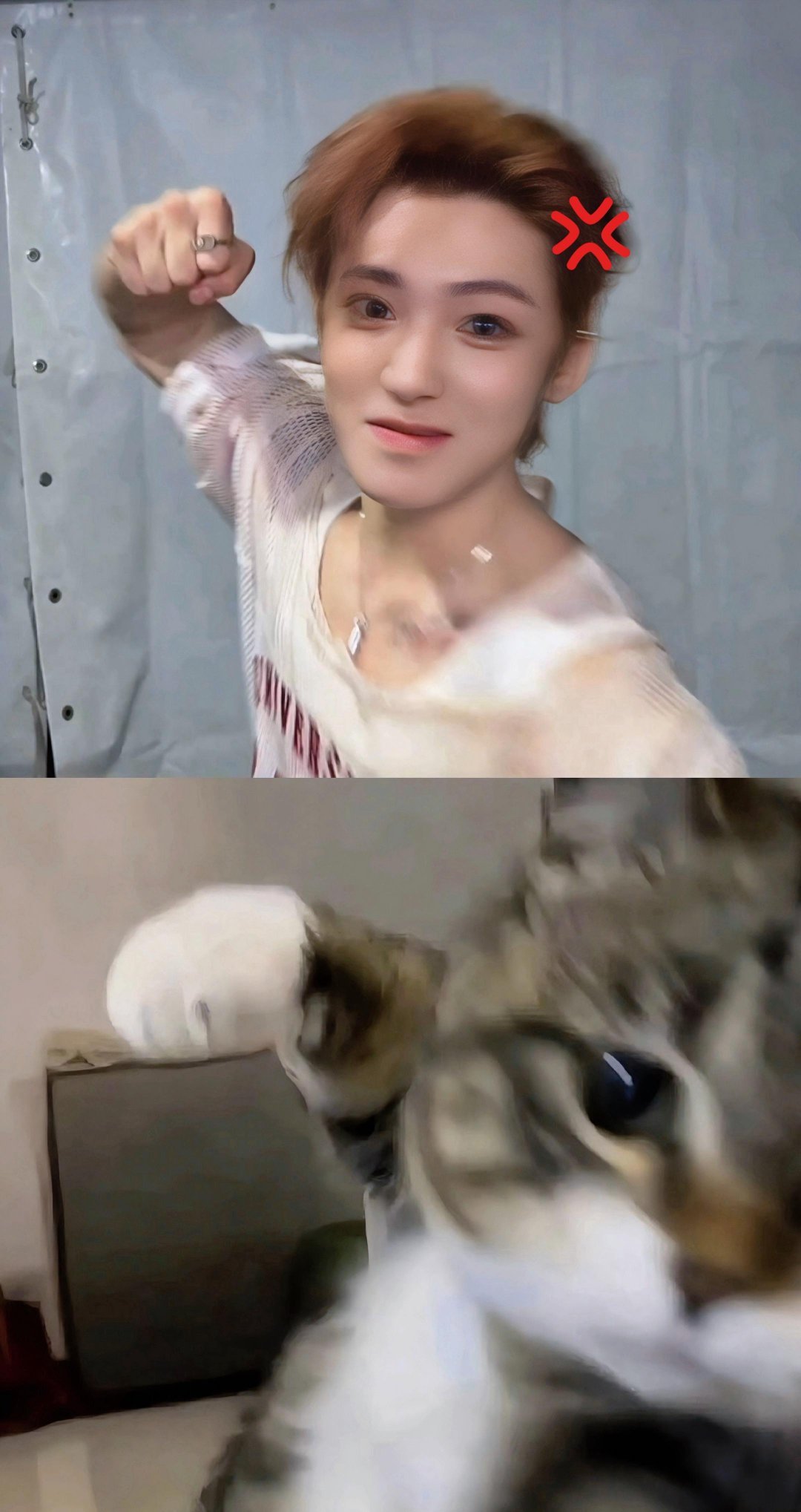 侯明昊[超话] 小猫脾气测试糟糕！！下手重了，小猫反击，喵喵拳来袭，一模一样！！
