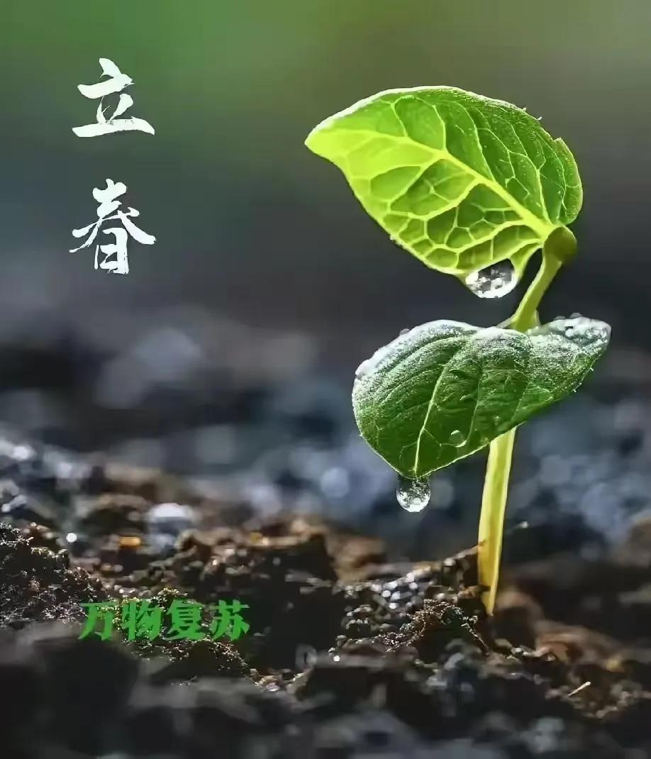 正月初六，六六大顺！
风调雨顺，一顺百顺！
顺风顺水，扶摇直上！
愿往后的日子里