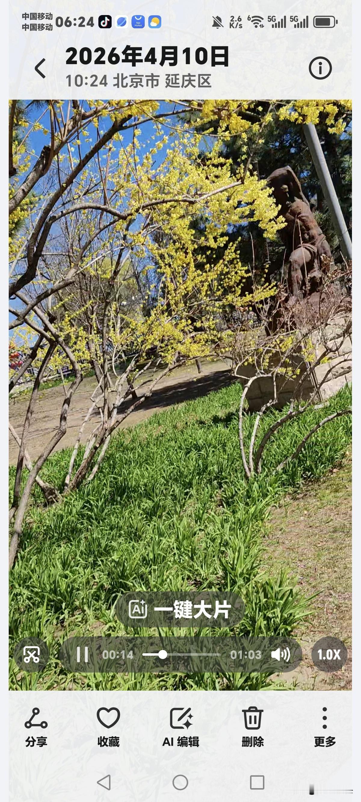 别去指责年龄大了找老伴就是好色，
那是男人的本性，
不好色的去了有病就是没钱，