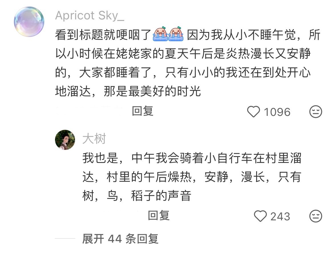 记忆里夏天最美好的样子 ​​​