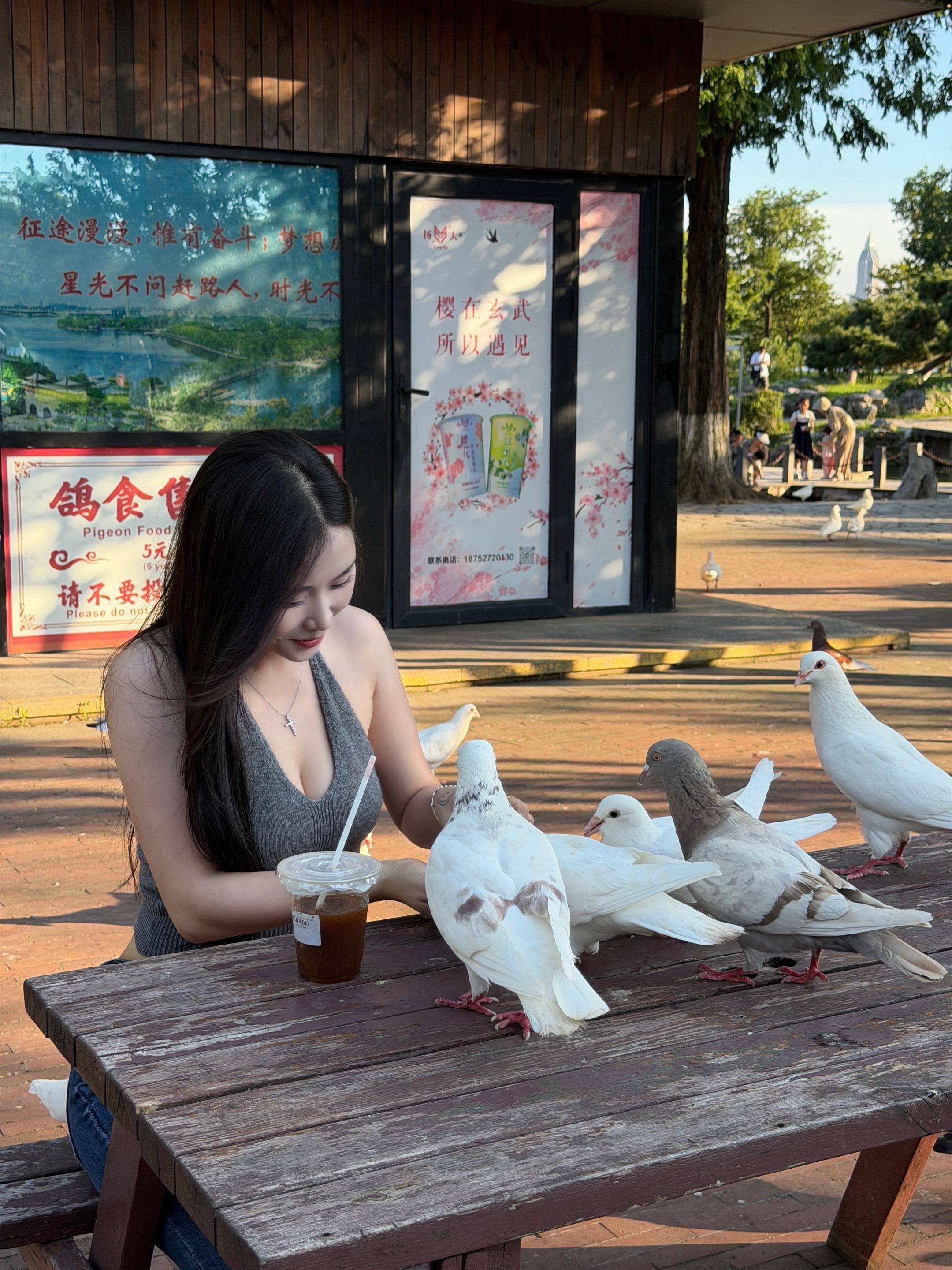 鸽子治愈 鸽子是自由的希望你也是 玄武湖公园