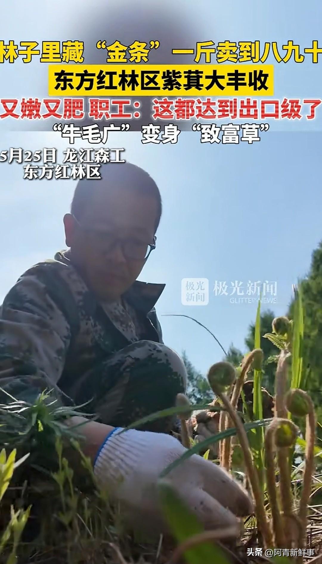太羡慕了！
别人嫌累不愿干的活，东北大哥干一天顶别人一个月，看完太真实了！

最