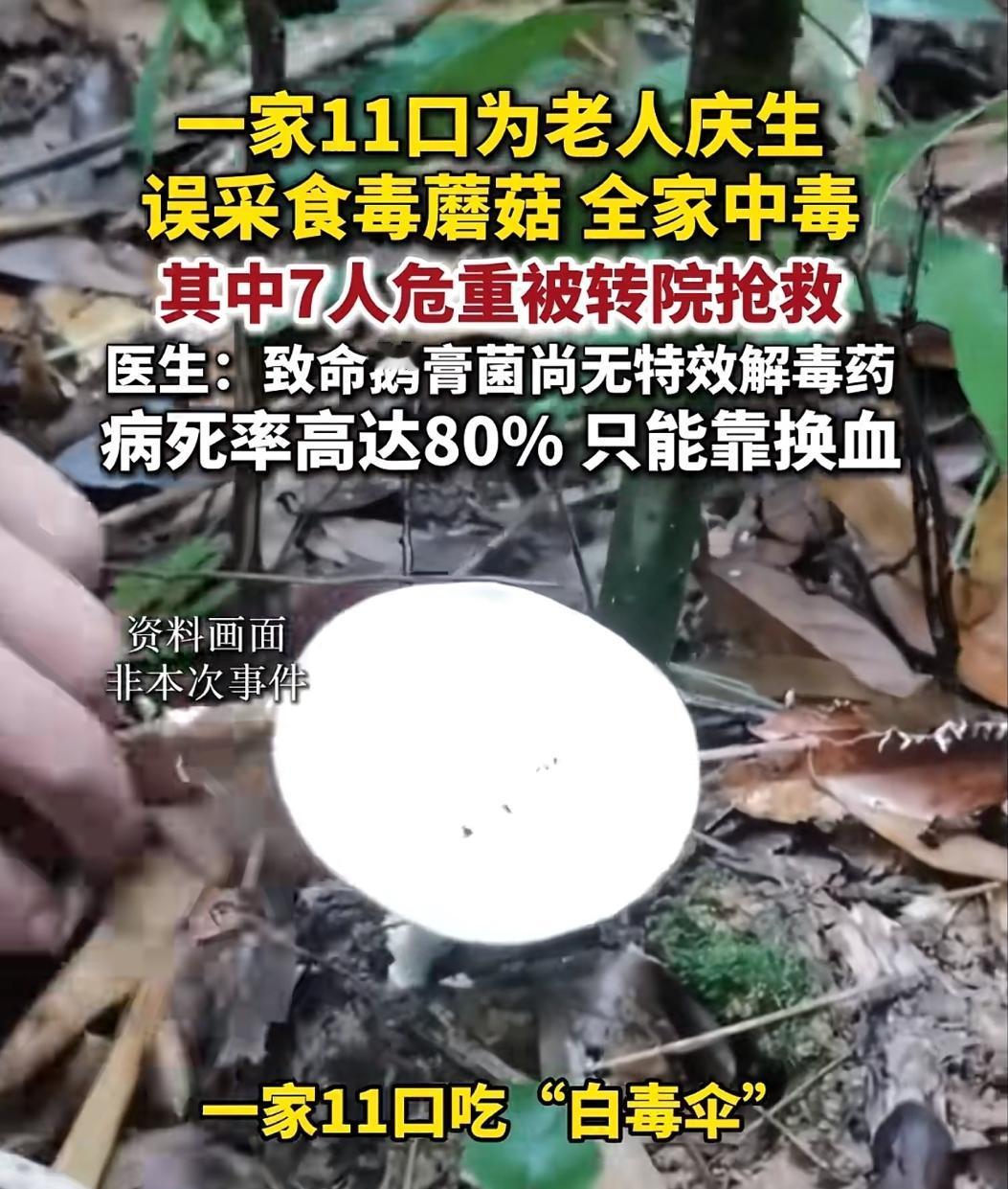 “太大意了”！广东惠州，一家11口，本来给家中老人过寿，还特意添上“山珍野味”，