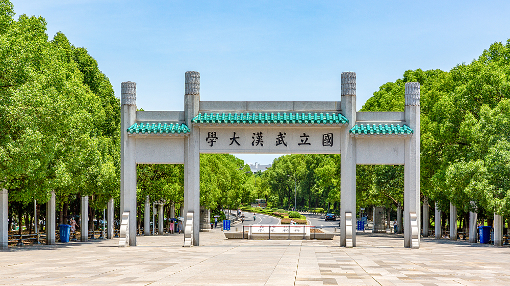 【#武大杨某媛回复论文大量错误#】近日，武汉大学杨某媛的论文《中印生育行为影响家