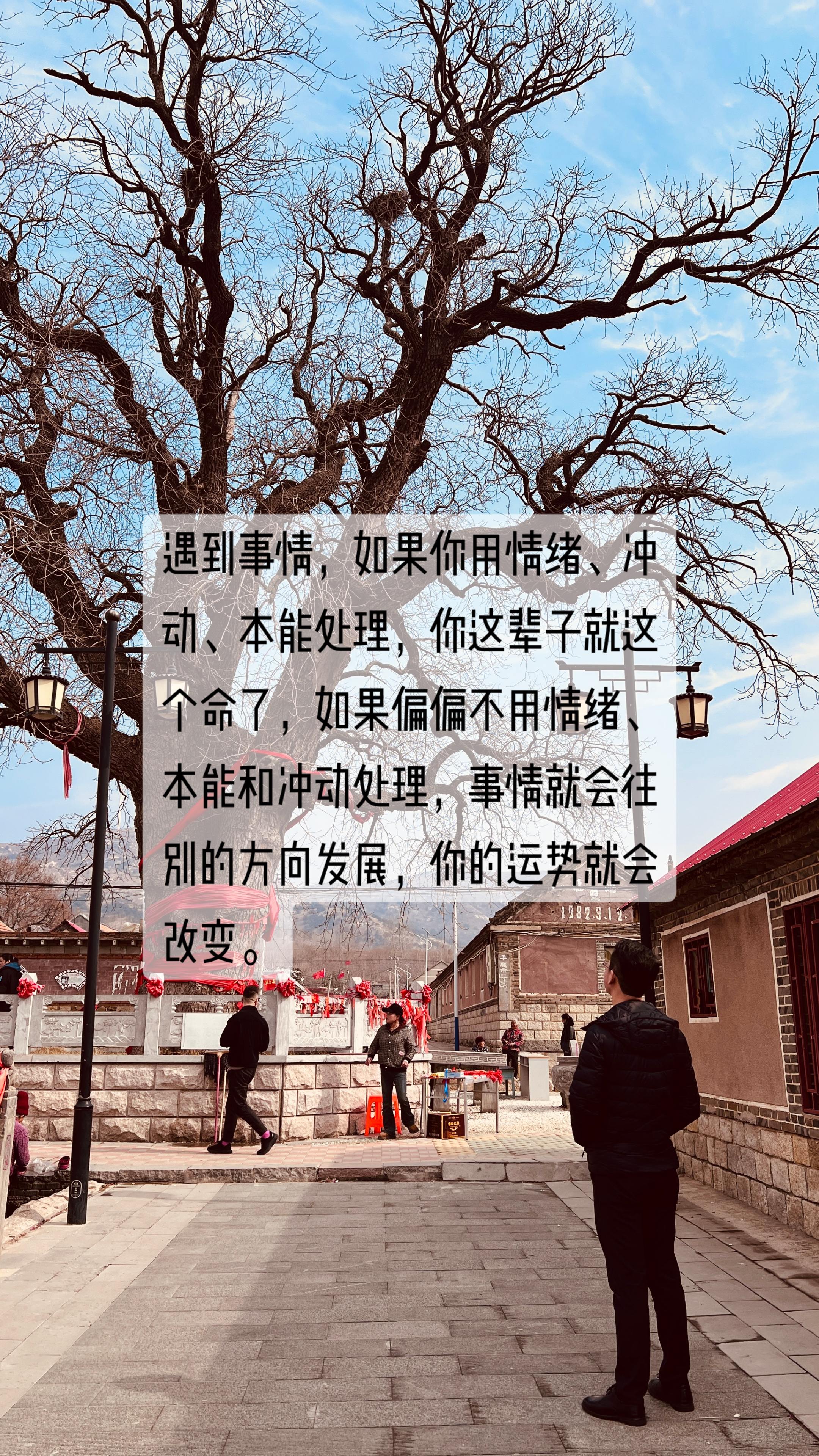 顺则凡，逆则仙，只在颠倒间。