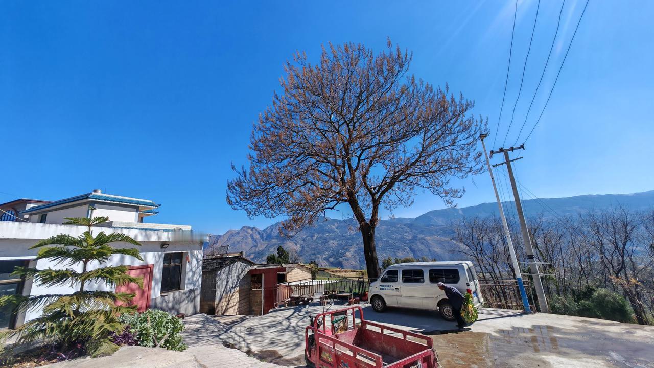 为家乡美食打call 全抖音都在晒家乡美食 我为家乡农产品代言