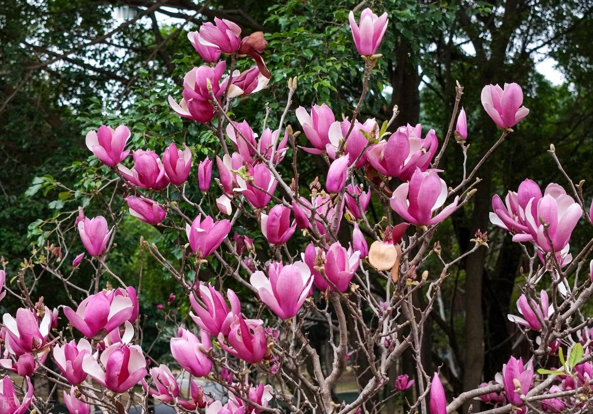 真正的强大，不是征服别人，而是战胜自己。能控制自己情绪和欲望的人，才能掌控人生。