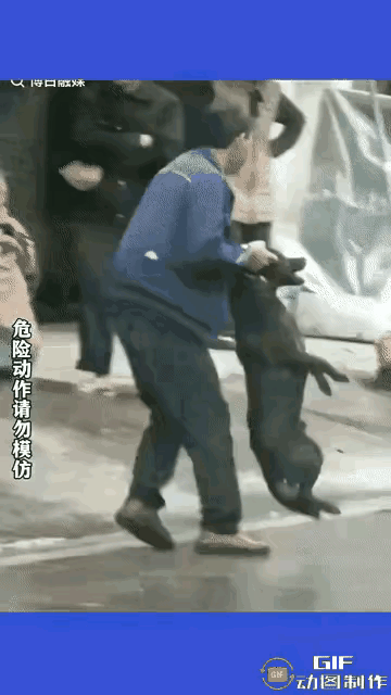 这样错吗？
遛狗不栓绳，还咬伤行人，可这位也不是善茬，抓住狗头摁在地上一通猛捶，