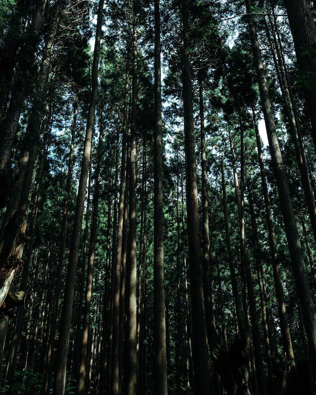 「除了吃饭睡觉，这个世界上没有什么能力真的是一种天赋——哪怕是我们使用最多的行走