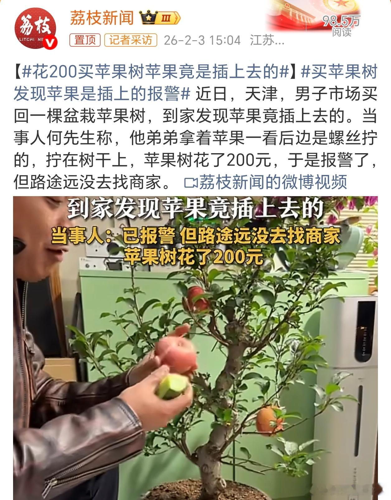 买苹果树发现苹果是插上的报警商家也是人才，真以为这么拙劣的手段能骗得了人吗，让我