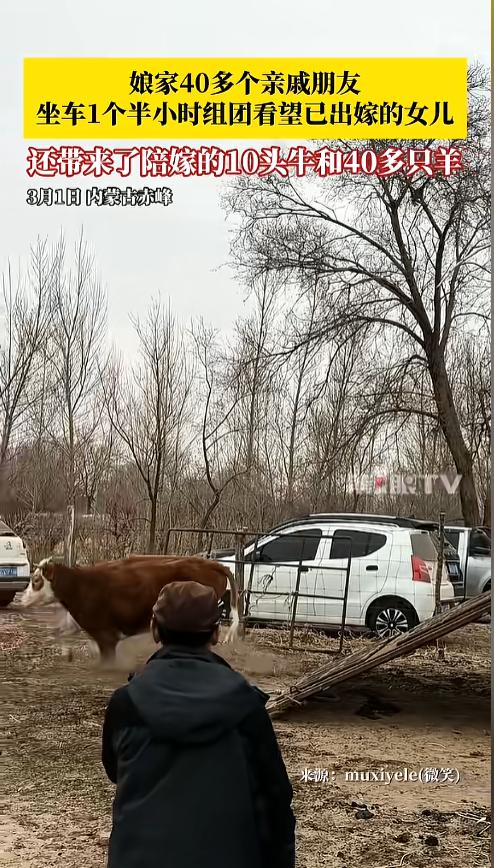 “娘家人给的底气！”3月1日，内蒙古赤峰，一女子出嫁一个月后，娘家人组团来看望。