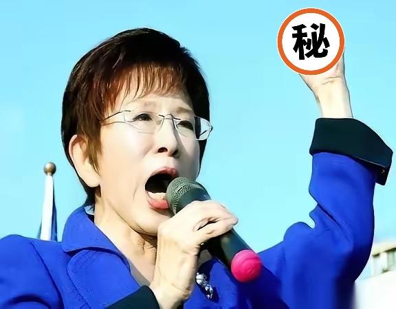 洪秀柱这话砸出来，台下嗡的一声。
她没说“交流”，没说“融合”，更没说“循序渐进