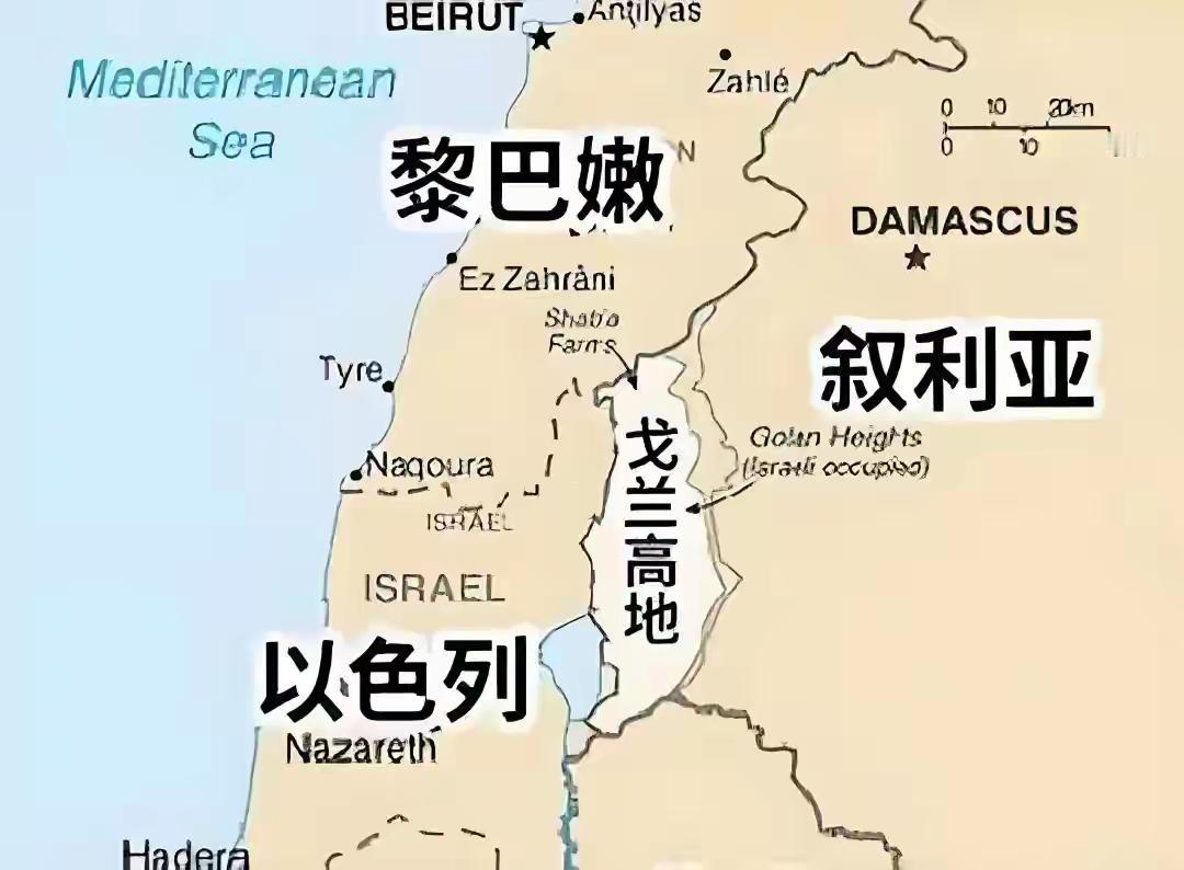 伊朗总统表态不放弃黎巴嫩，伊朗终于明白如何做大哥了
 
伊朗总统佩泽希齐扬近日公