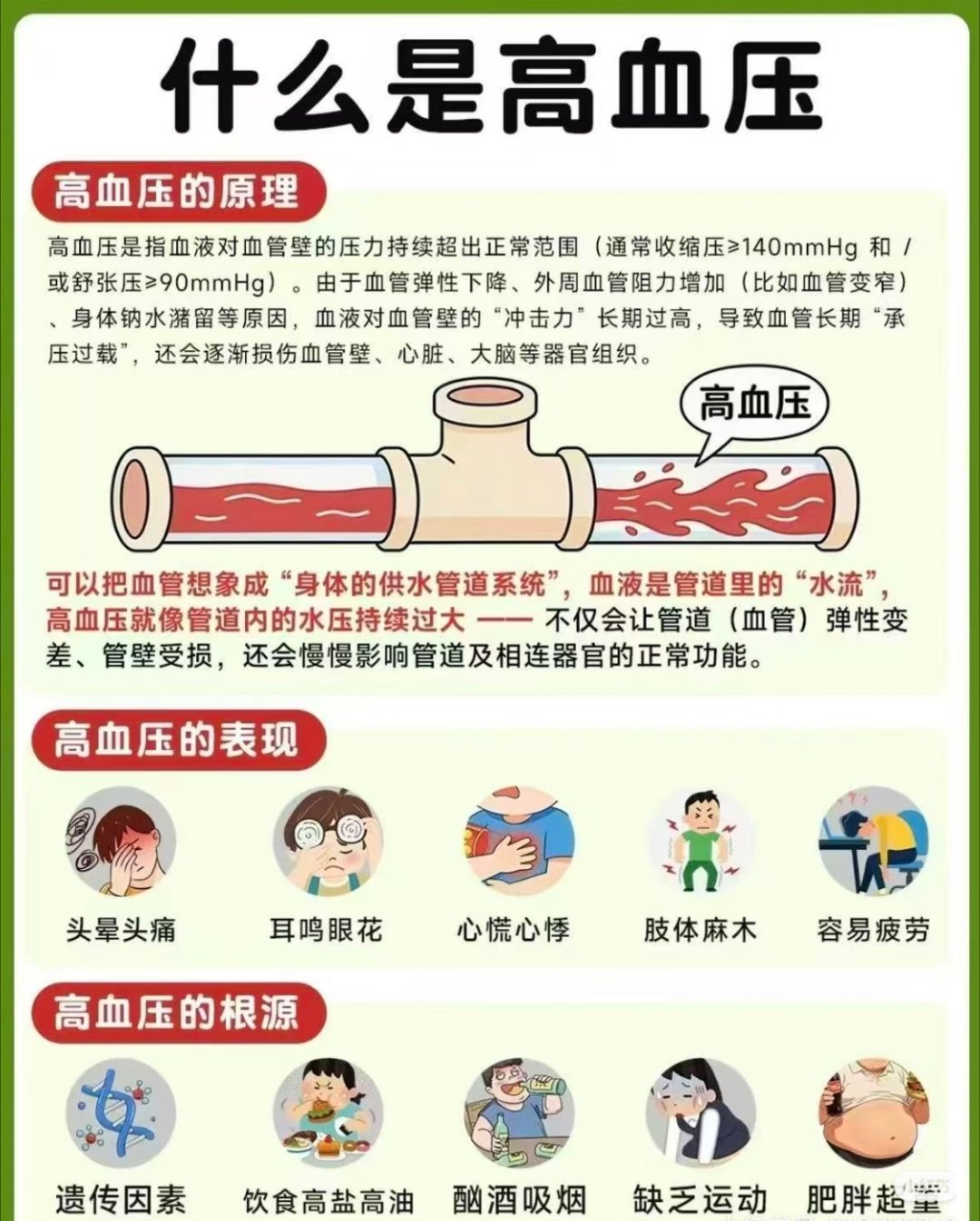 工作压力大熬夜多，身体提前报警太正常了。早点重视血压反而是好事，总比硬扛着不管强