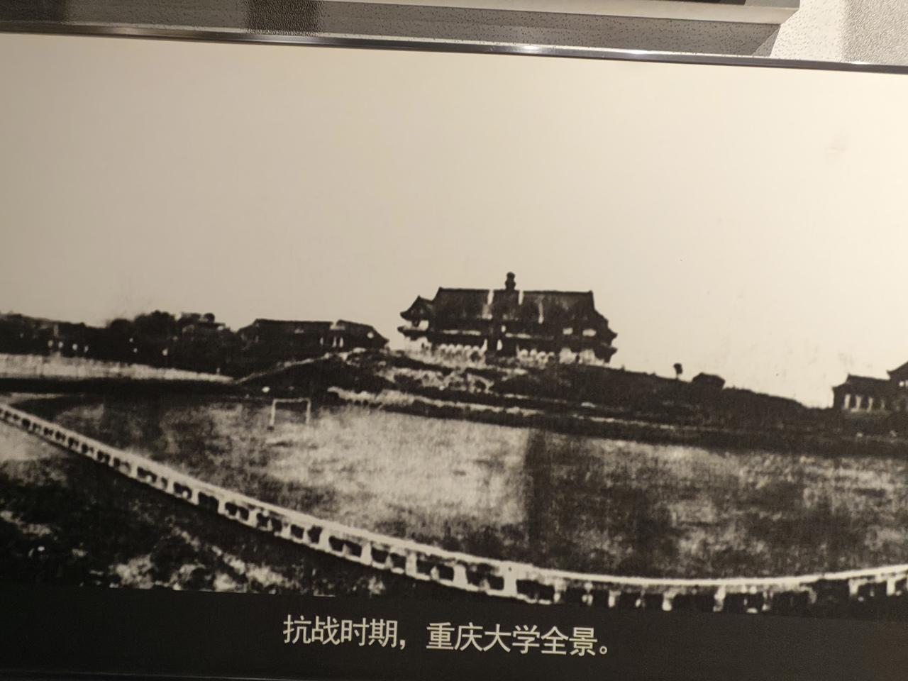 我认为会学生时代是十分美好的，同学的情谊是最真挚的。恰同学少年，风华正茂，书生意