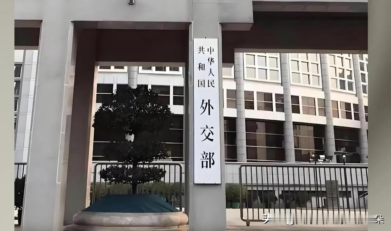100多名中国人海外被抓！外交部凌晨回应，这句话信息量巨大

100多名中国公民